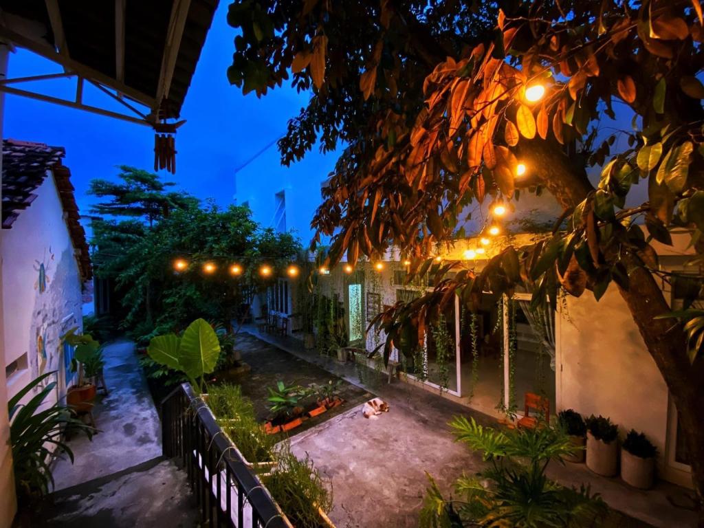 Top 10 hoạt động thú vị khi đến với homestay Kontum home Sweet